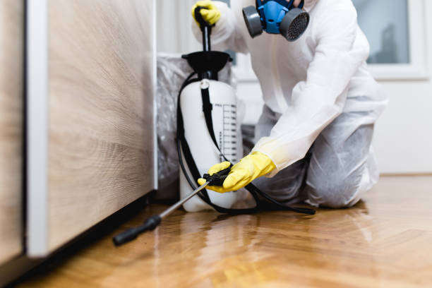 Best Pest Control for Restaurants  in Moorhead, MN