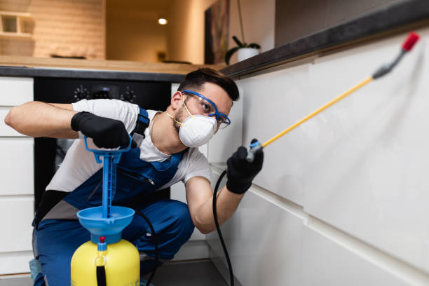 Best Residential Pest Control  in Moorhead, MN