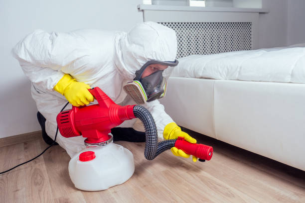 Best Flea Control Services  in Moorhead, MN