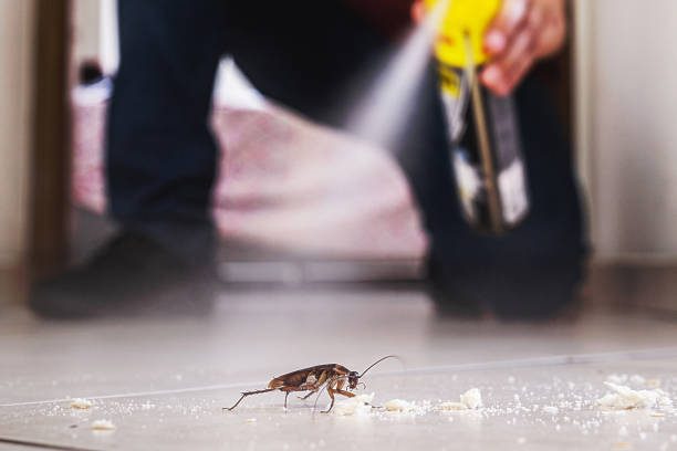 Best Affordable Pest Control Services  in Moorhead, MN