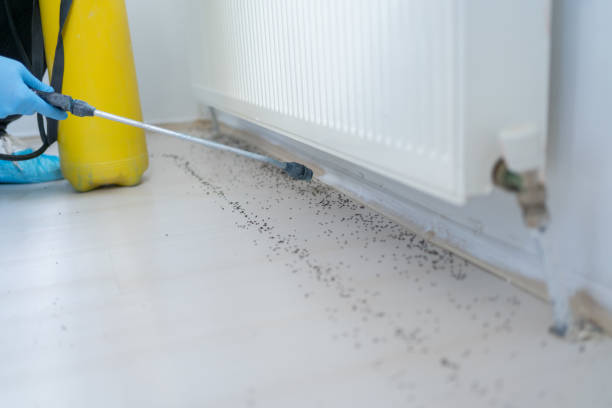 Pest Control for Restaurants in Moorhead, MN