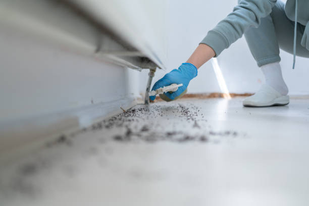Best Best Pest Control Companies  in Moorhead, MN